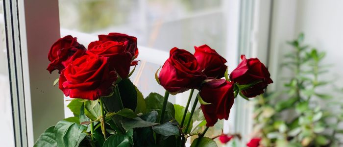 faisal-xmxcBMGJJjE-unsplash