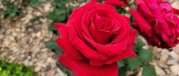 kyoungtae-min-Yu4C53ZTsdU-unsplash