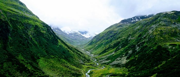 tomoe-steineck-E9eZxxwxW-w-unsplash